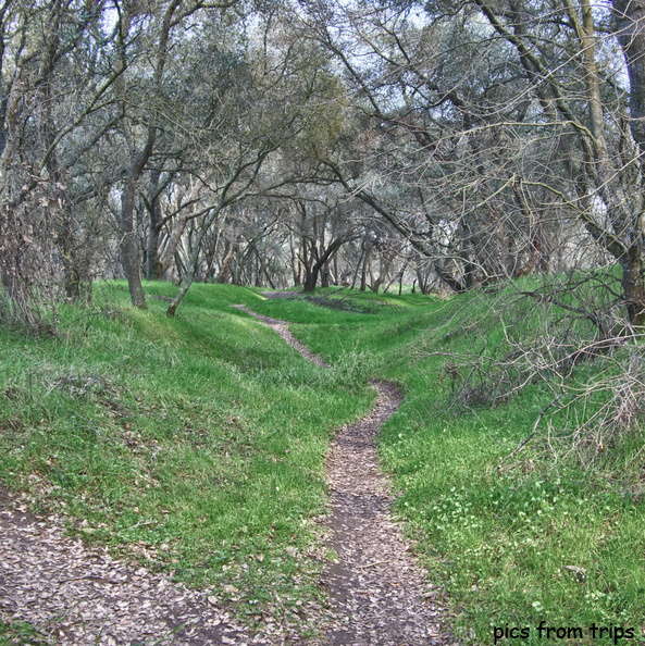 trails along the American River2011d05c011_HDR.jpg